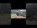 🔥 My Workout Routine | Skinny To Fit Transformation Journey 💪 #shorts #discipline #workout