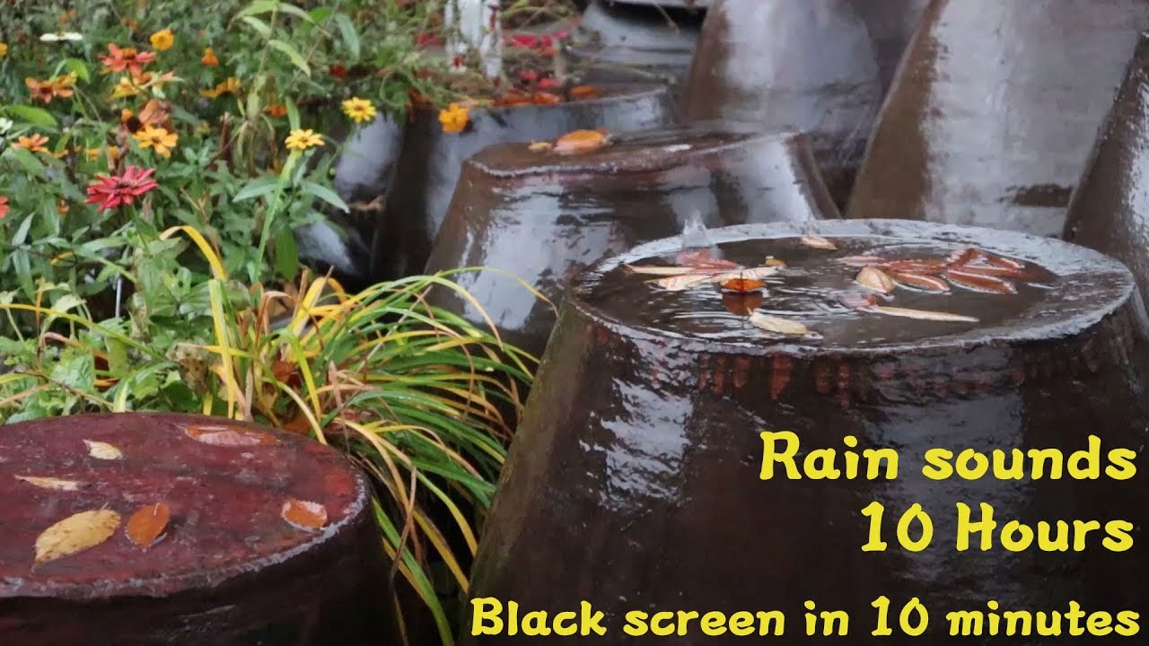 Rain sounds 10 Hours 빗소리 10분 후 검은화면 비오는소리 asmr 10시간 숙면 힐링 평안 백색소음