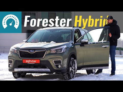 Video: Kuidas Subaru Foresteri turvatuld välja lülitada?