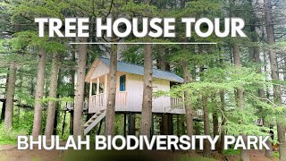 Bhulah Biodiversity Park |Tree House|Gazebo| #treehouse #janjehli 