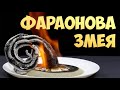 Нахимичили. Выпуск №1 "Играем"