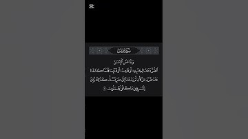 سورة يونس 🤍 #القارئ_عبد_الرحمن_مسعد #quran #اكتب_شي_تؤجر_عليه