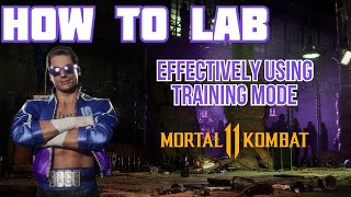 How to LAB - Effectively Using Training Mode