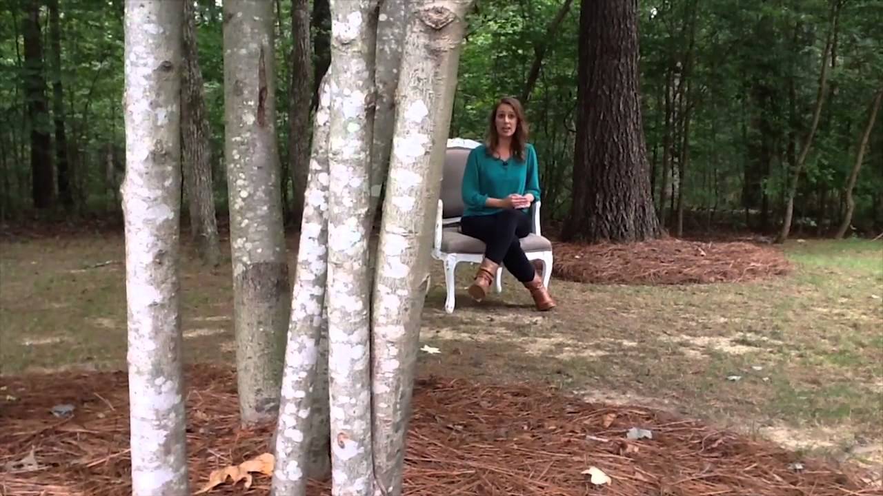 A Million Little Ways - Week 1