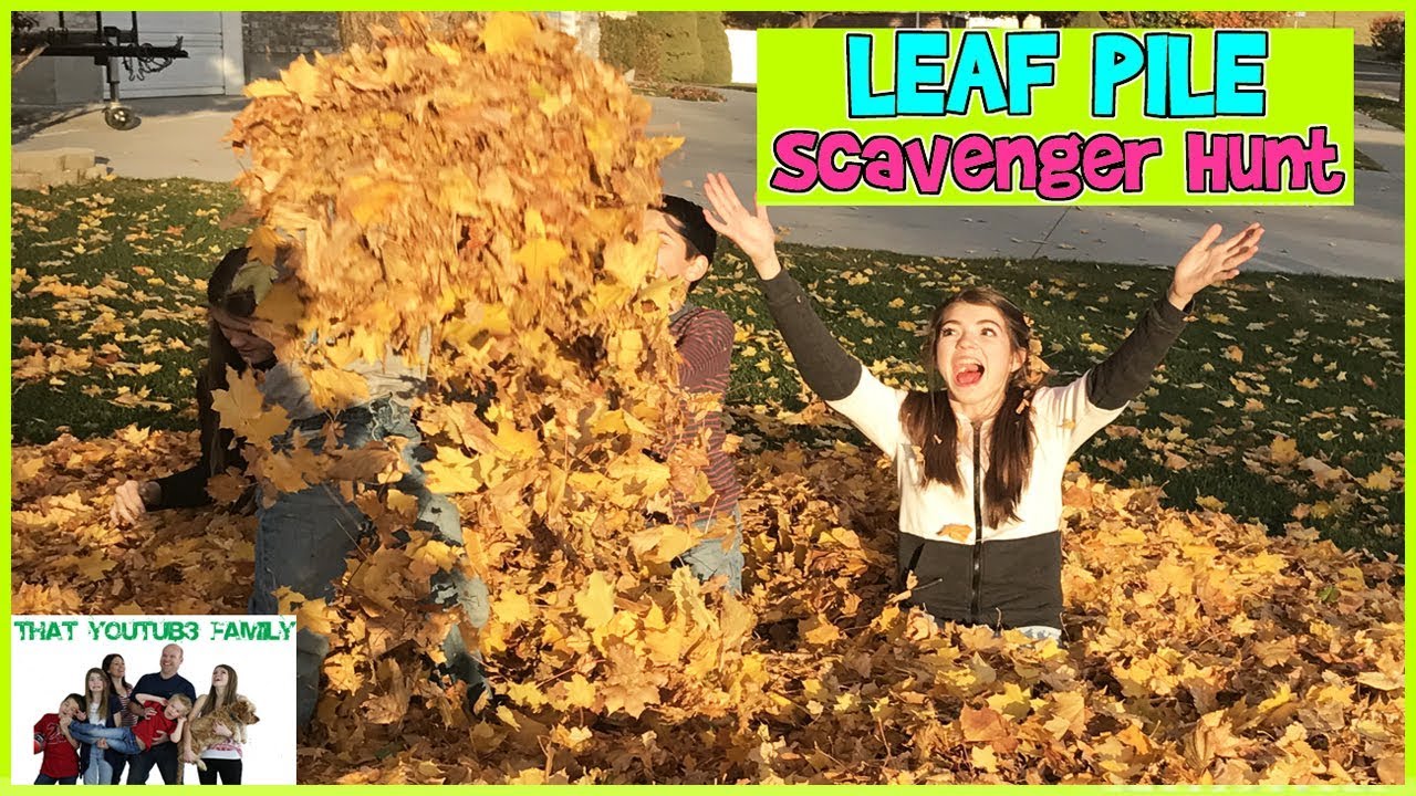 GIANT LEAF PILE SCAVENGER HUNT / That YouTub3 Family sardines price