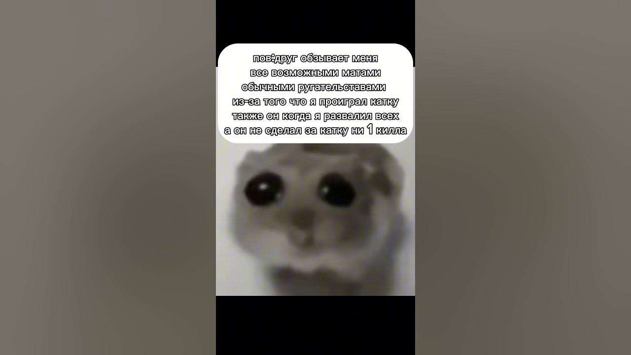 Грустный хомячок - YouTube
