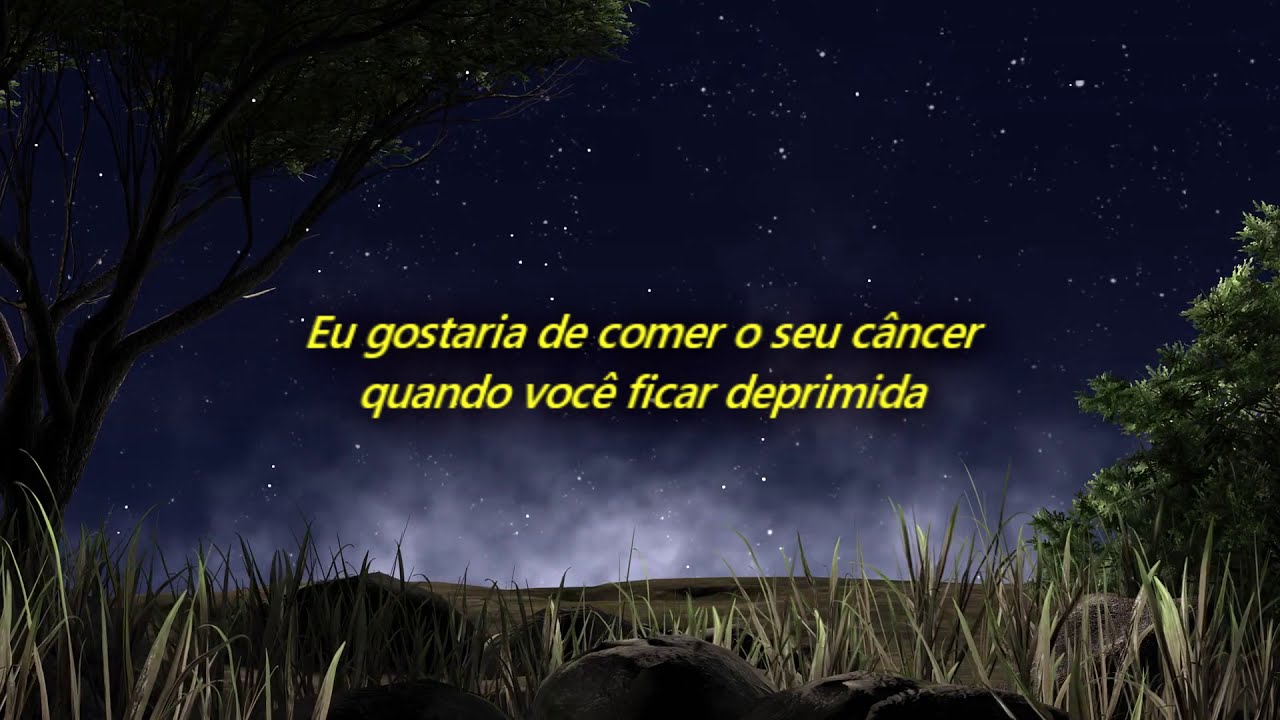 Nirvana - Heart Shaped Box (Lyrics) Legendado (Português BR) 