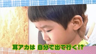 【公式】「耳アカは自分で出て行く!?」（8月13日放送）｜テレビ西日本