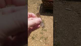 A Maryland Guys Opinion Of Miyako Konbu.