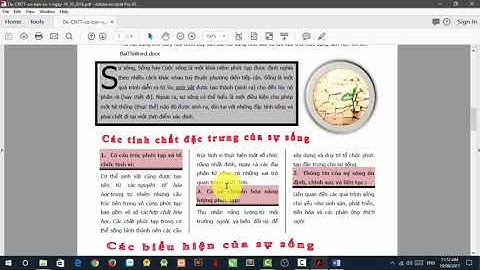 Hướng dẫn giải bộ đề ôn thi 01 - Cơ bản - Phần Word