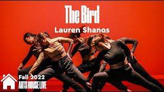 The Bird (Contemporary, Fall '22) - Arts House Dance Company