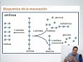 Masterclass sobre Maceración en la Elaboración de Cerveza