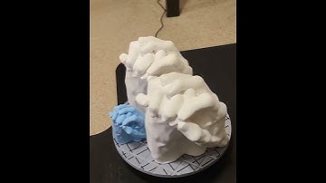 #ZaxDezignz.com #snapmaker #3dprinting#shareit #crscan01 #creality #clone #cr-Lizard #Memoryz