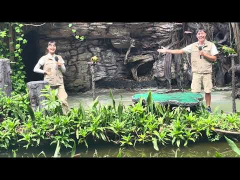 Bird show Safari World