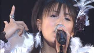 AKB48 Bird