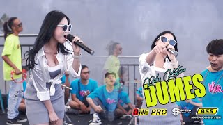 RICHA CRISTINA - DUMES || ONE PRO (Live Anniversary Ke-2 Pemuda B-FOUR )