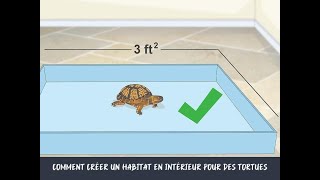 Comment créer un habitat en intérieur pour des tortues