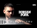 Dorian Popa - Pe placul tau