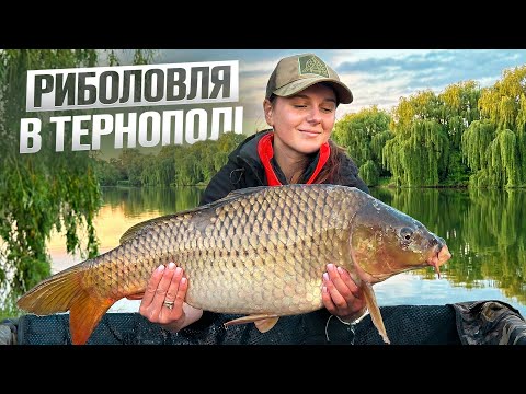First fishing trip at WinFish | A reservoir surrounded by willows and trophy carp