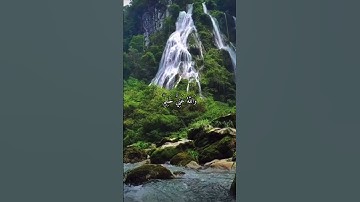 واتس اب قران كريم القارئ ياسر دوسري (سوره البقرة)