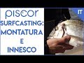 Surfcasting. Montatura e Innesco per la cattura di Saraghi e Orate