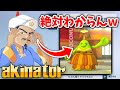 アキネーターにマリカーのモブキャラ試してみたwww