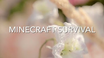 Minecraft Survival Intro (please read the description below)