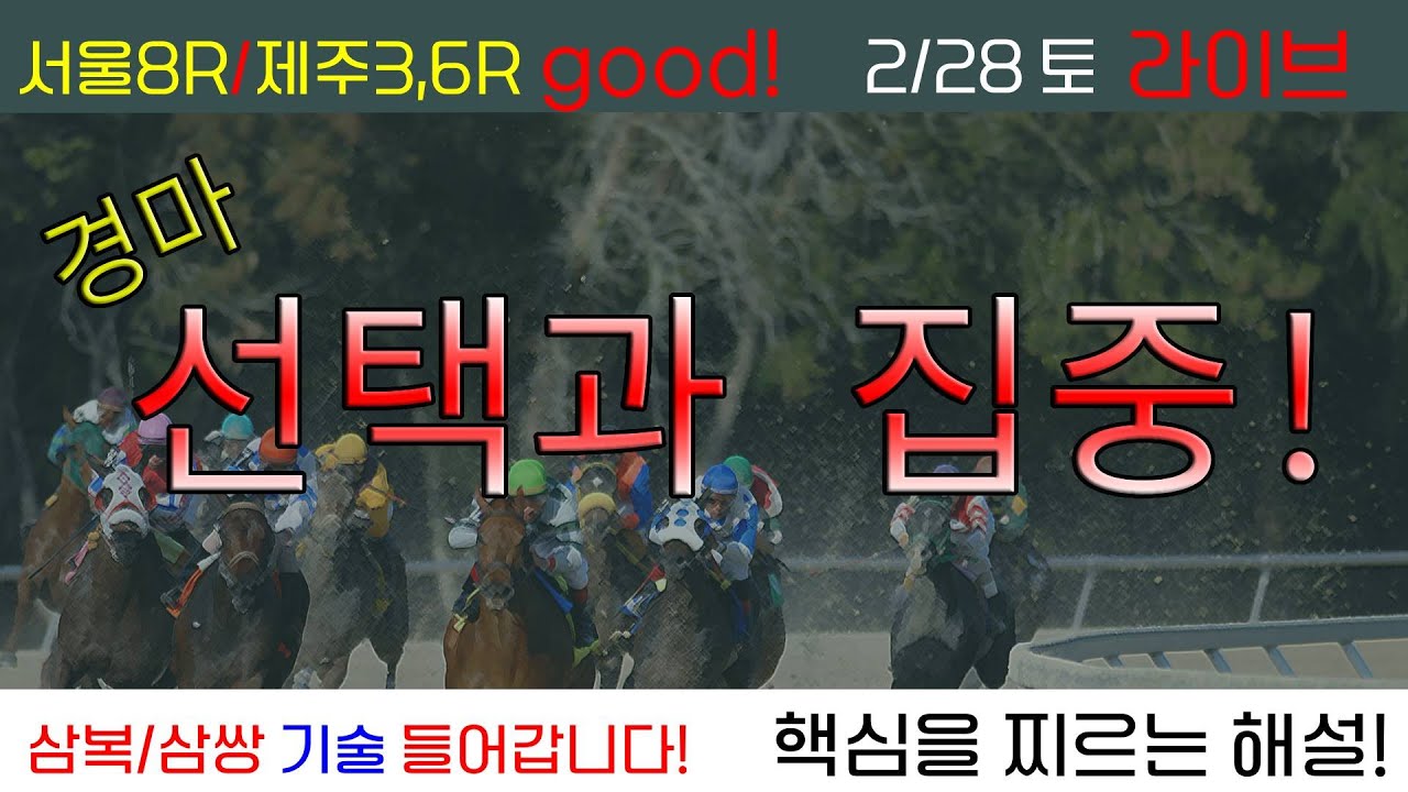 2/28(토) 경마 선택과 집중! 마감10분전 경주별 삼복/삼쌍 기술 들어갑니다!!