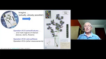 (Extended) Digital Specimens on the Internet