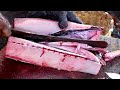 Amazing Seer Fish Cutting Skills/Expert Cutting Seer Fish In Kasimedu Fish Market