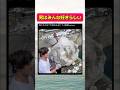 全男子の全てが積み込まれてる動画w#おもしろ #おすすめ