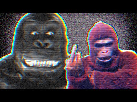 10 of the Worst King Kong Knockoffs! | Scribbles to Screen
