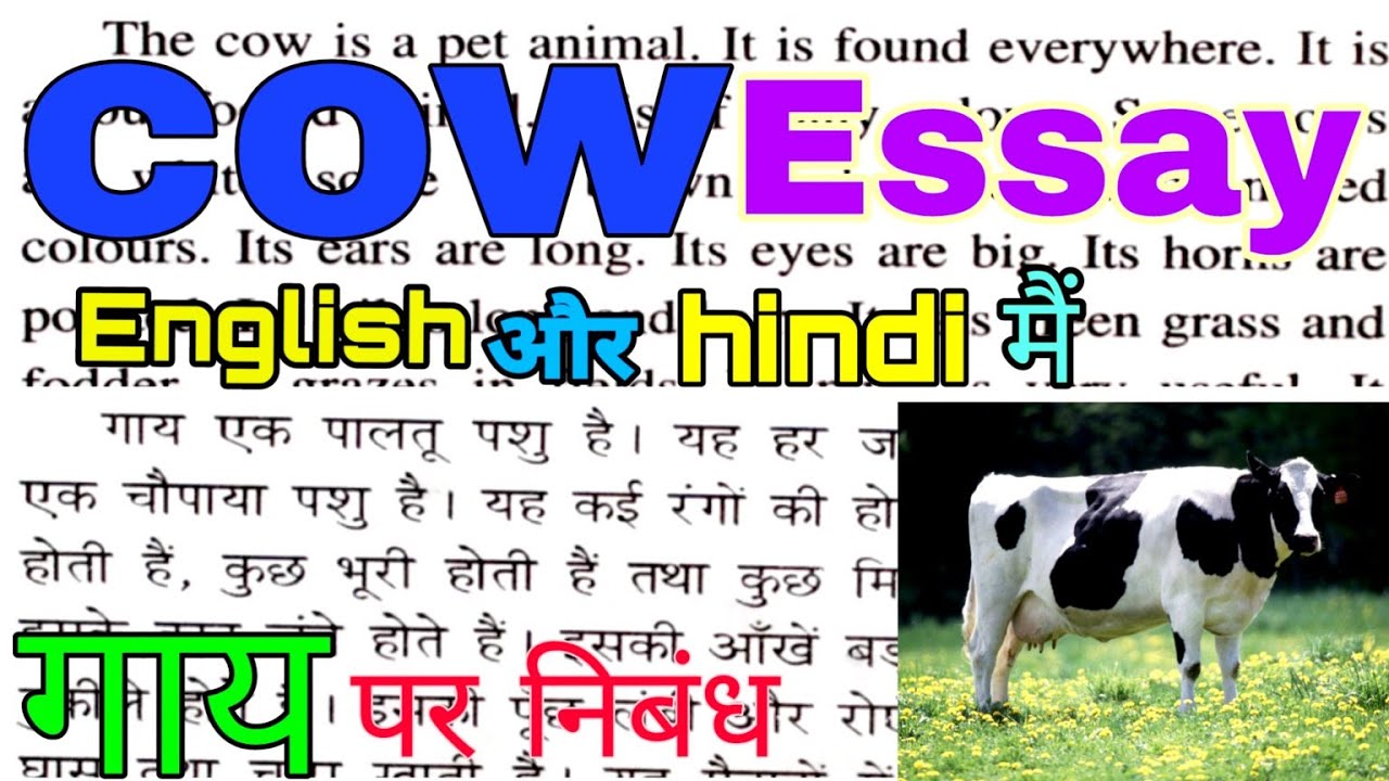 the cow essay english and hindi