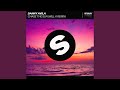 Chase The Sun WILL K Extended Remix 
