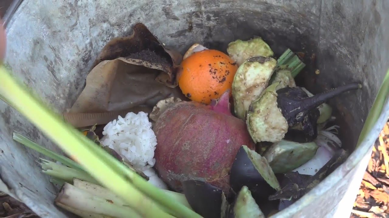 Sacramento’s Solid Waste Fees Going Up Due To New State Composting Mandate