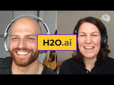 How the H2O AutoML platform works