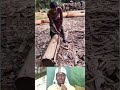 Traditional Log Cutting | আদি পদ্ধতিতে গাছের গুড়ি সাইজ করা হচ্ছে 😮🪵 #shorts #logcutting