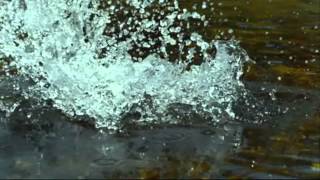 ABBA - EAGLE screenshot 4