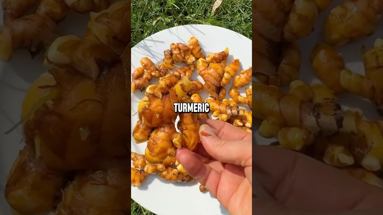 Top 7 Herbs That Actually Heal Your Body 🌿