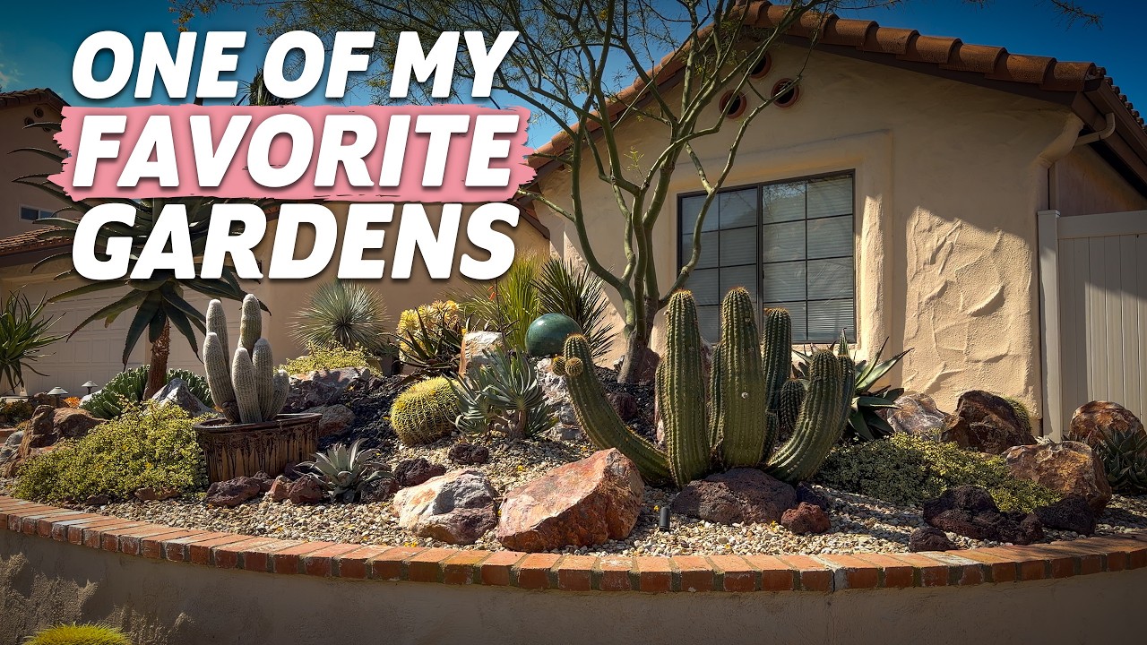 Escondido Succulent Garden Tour