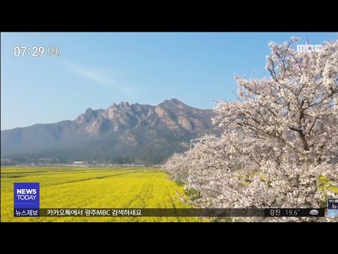 [뉴스투데이]&amp;quot;유채가 효자&amp;quot;, 농업*관광*<strong>식품산업</strong> 융합시대