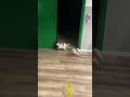 смешно купец я ржал пол часа 😅😅🤣😅