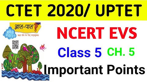 NCERT EVS Class 5 Notes ll Chapter 5 for CTET & UPTET