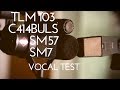 TLM 103 vs C414 BULS vs SM57 vs SM7 mic shootout vocal test