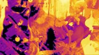 wild cat falling ~ snake charmers chillin in the lounge room