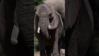 Today, we’re celebrating Missy’s 57th birthday!