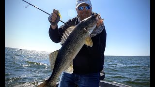 Late Summer Walleye Tactics with Brian Brosdahl