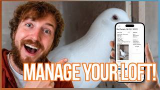 LoftBuddy: Your Loft In Your Pocket – The Racing Pigeon App Every Fancier Needs screenshot 4