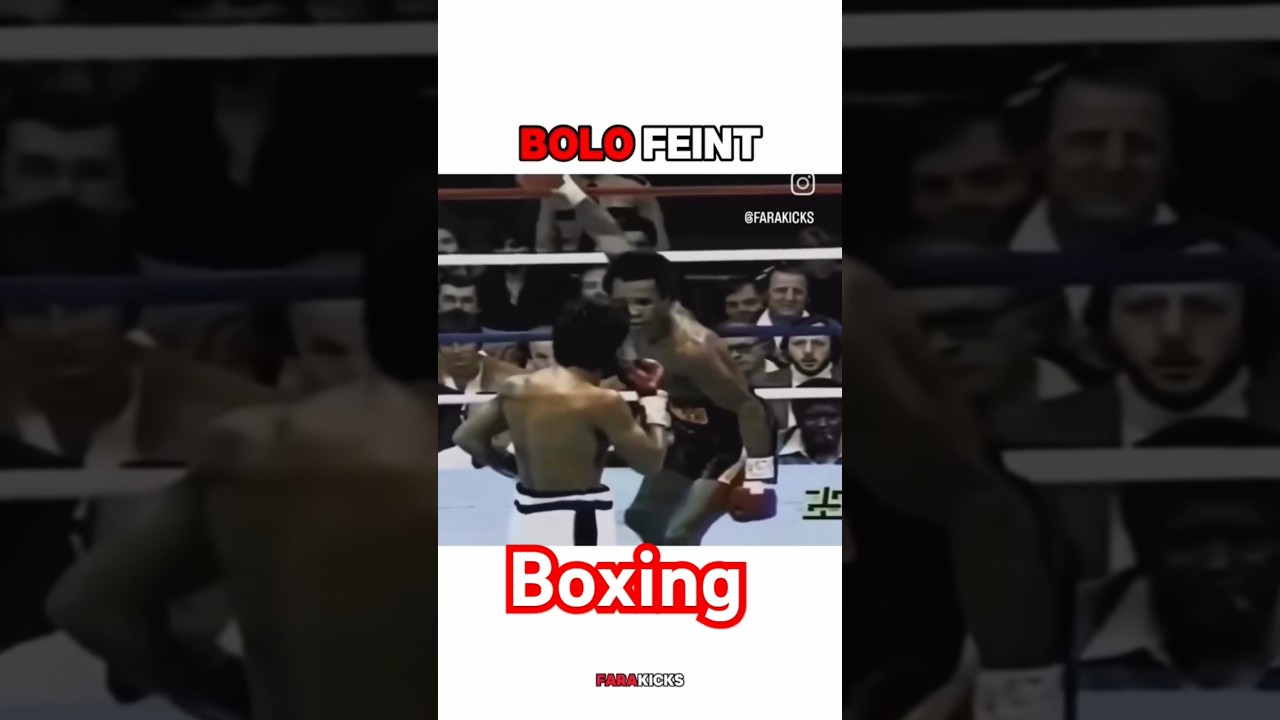 bolo feint boxing. 