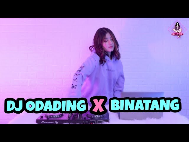 DJ BINATANG X ODADING (DJ IMUT REMIX) VIRAL TIKTOK!!! class=